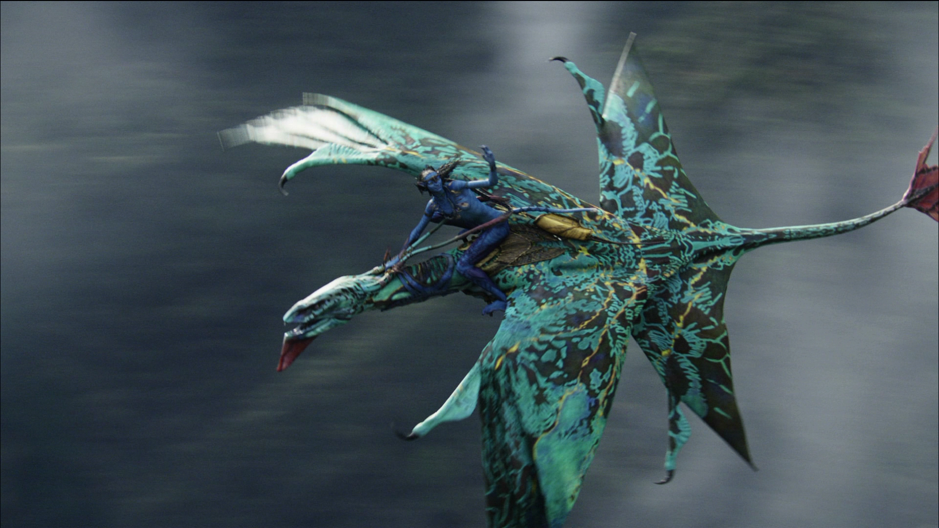 Photo from Avatar Film